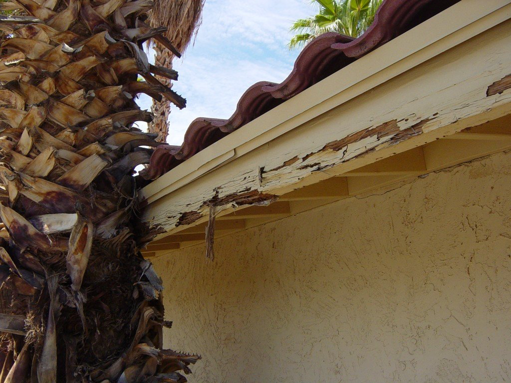 Rotting Wood on a House