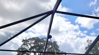 Sandpiper in action Photo