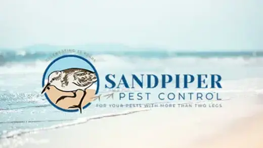 sandpiper